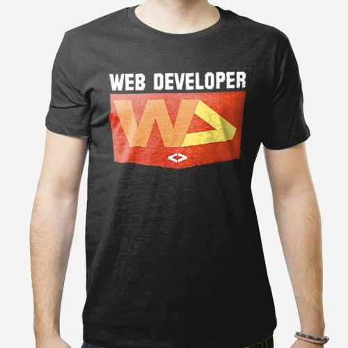 Web Developer