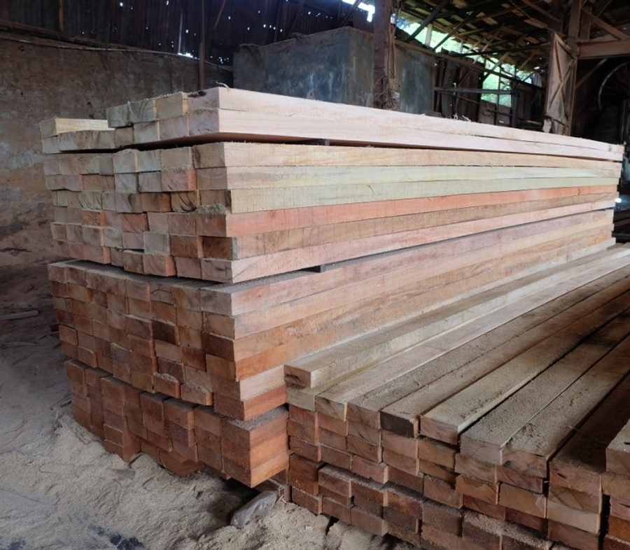 Harga Kayu Racuk 