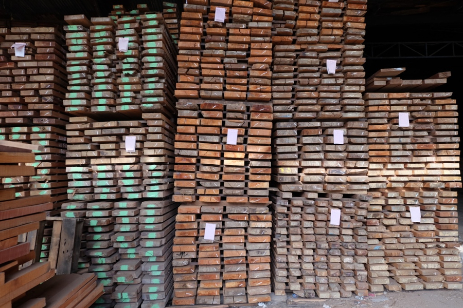 Harga Kayu Nyatoh 