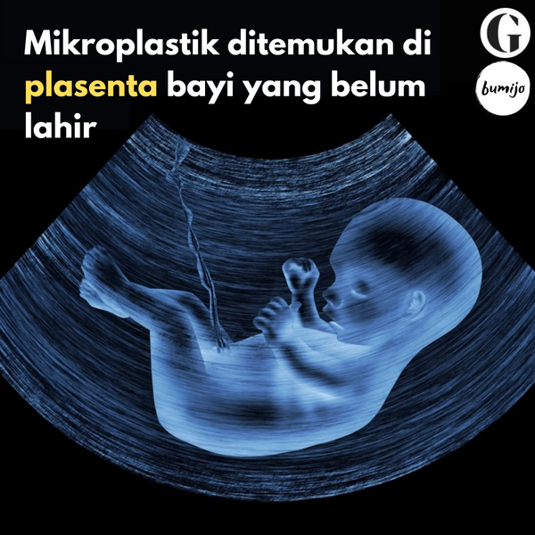 Mikroplastik Ditemukan Di Plasenta Bayi Bumijo