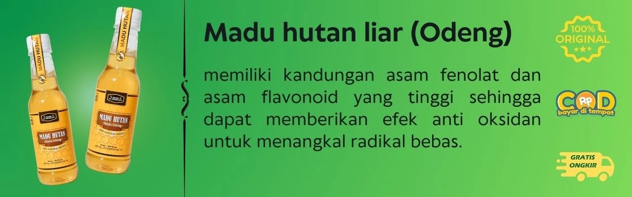 Madu Hutan Liar