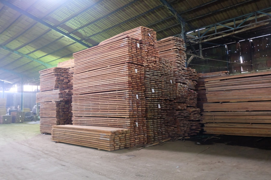 Harga Kayu  Bayur 