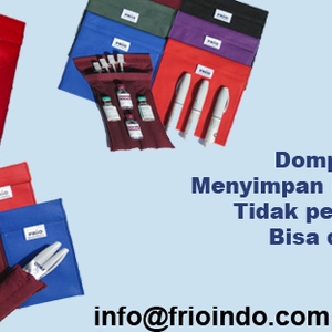 Frio Dompet Pelindung Insulin